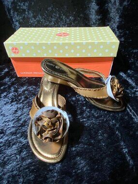 NEW! LINDSAY PHILLIPS MISSY Bronze Wedge Thong Sandal #7001 Switchflops Sz 6 NIB